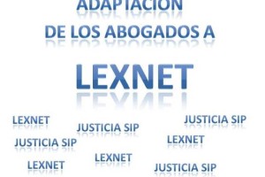 Entrevista a Maitane Valdecantos sobre la adaptación de los abogados a LexNET.